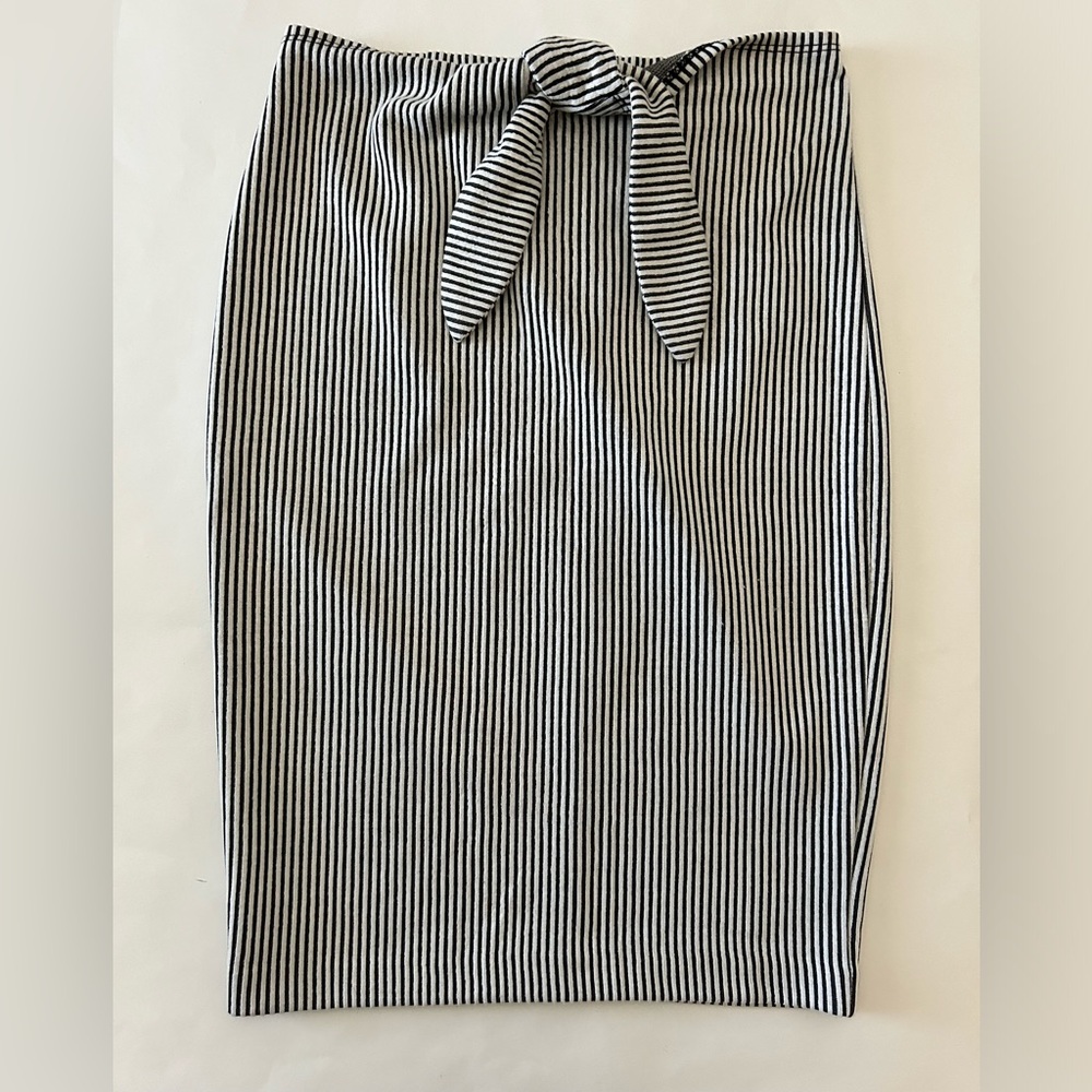 Dynamite Striped Skirt